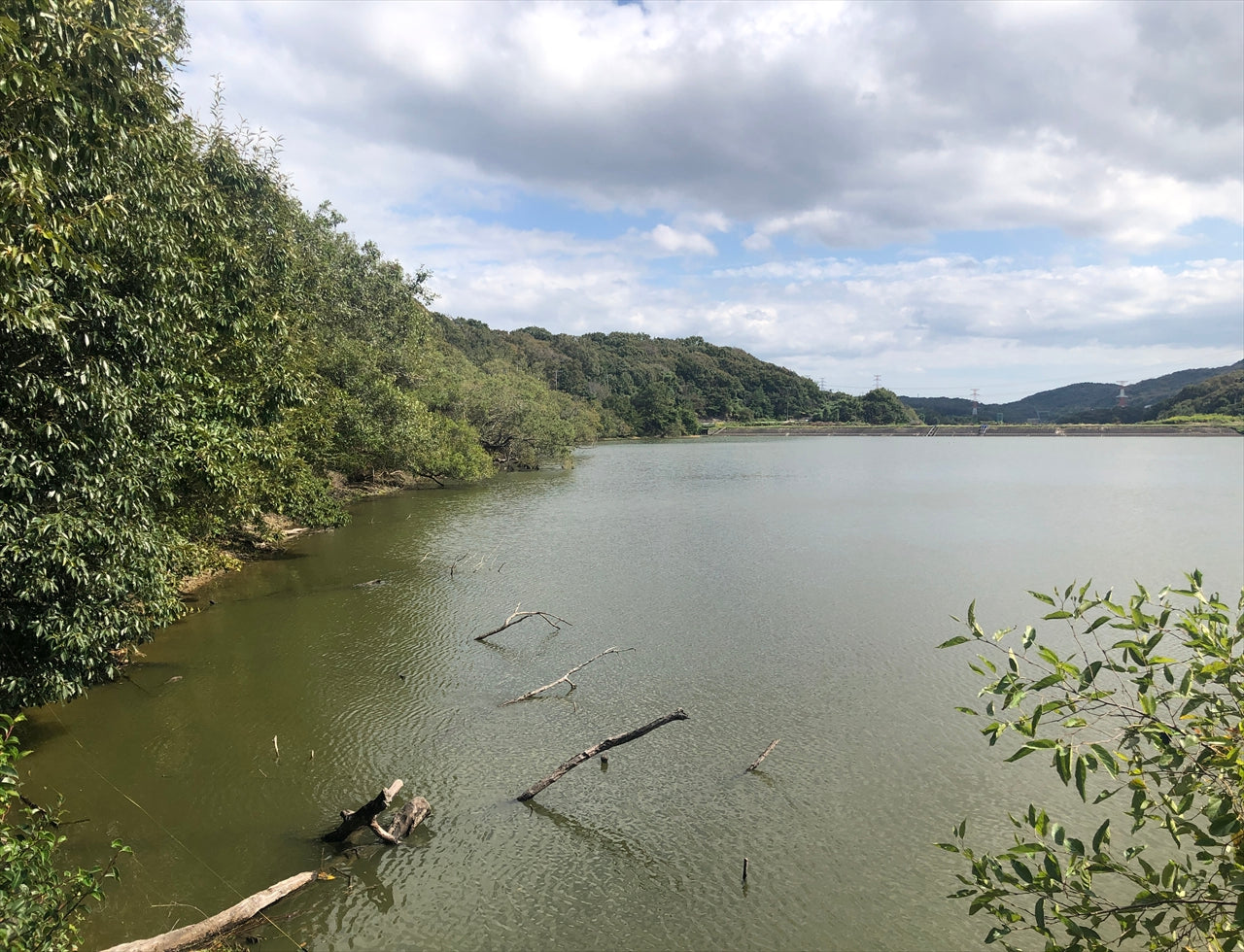 ◆大池(黍田町)