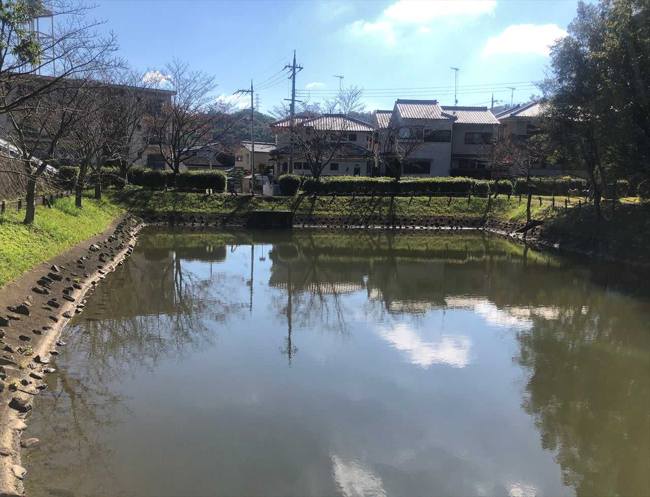 ◆農住5号公園池