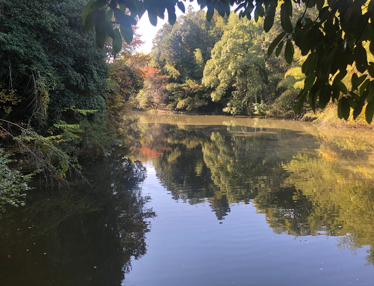 ◆上池(上ノ平)