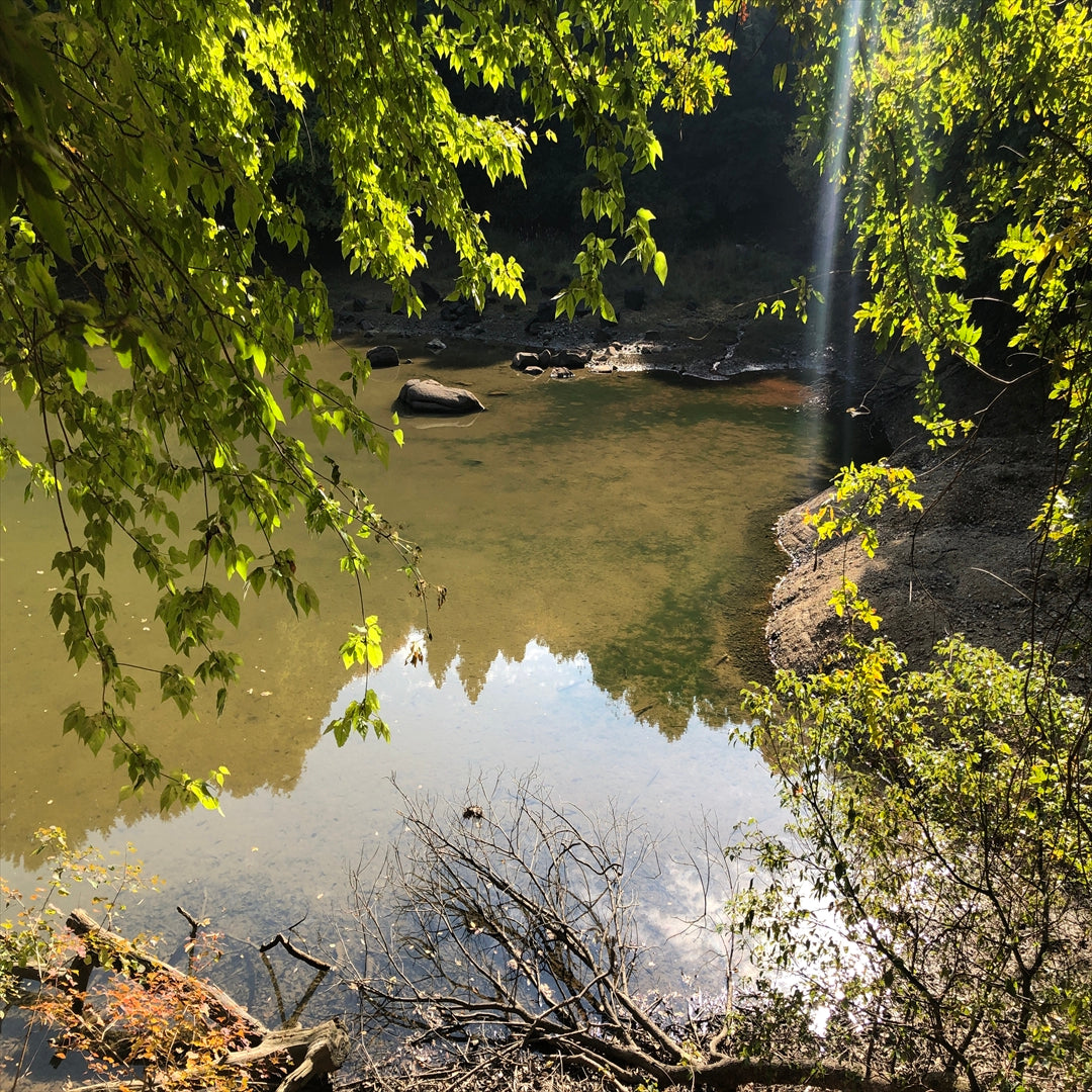 ◆膳所平尾町池