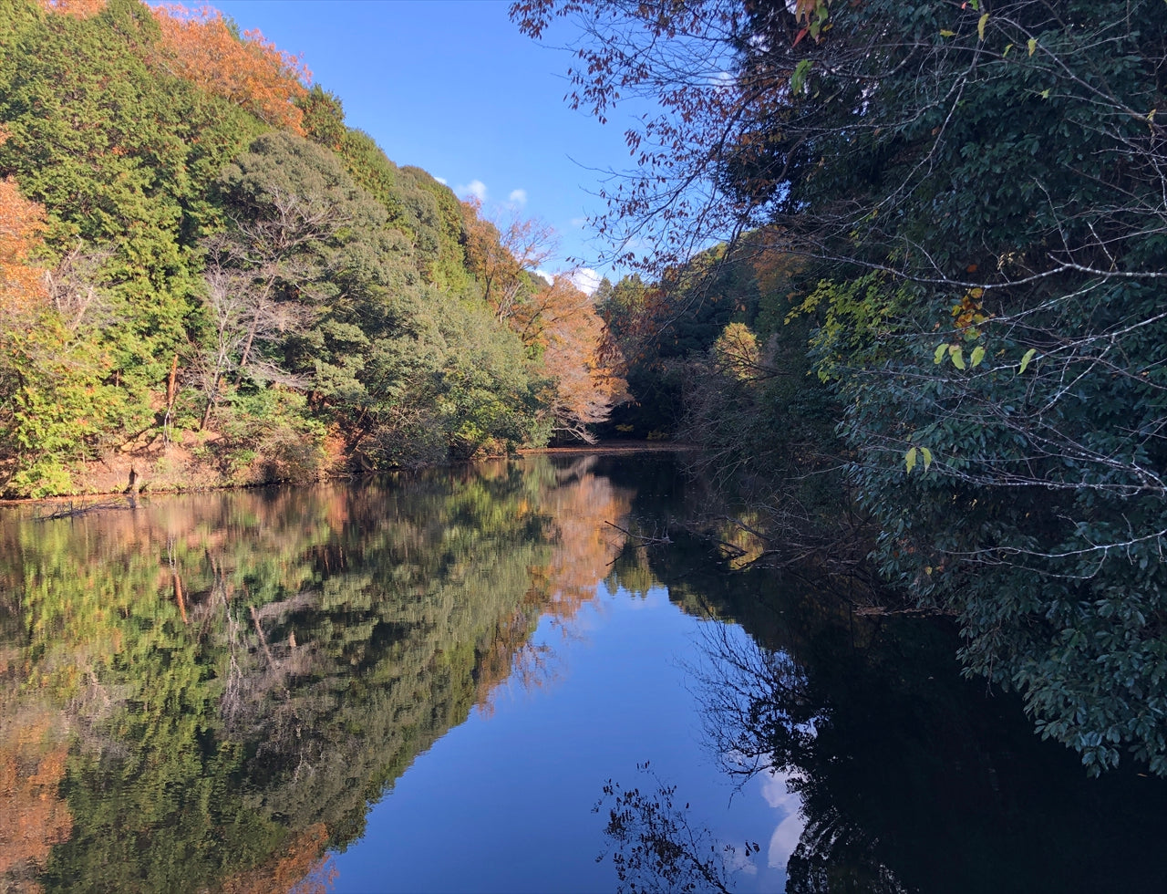 ◆伊勢構池