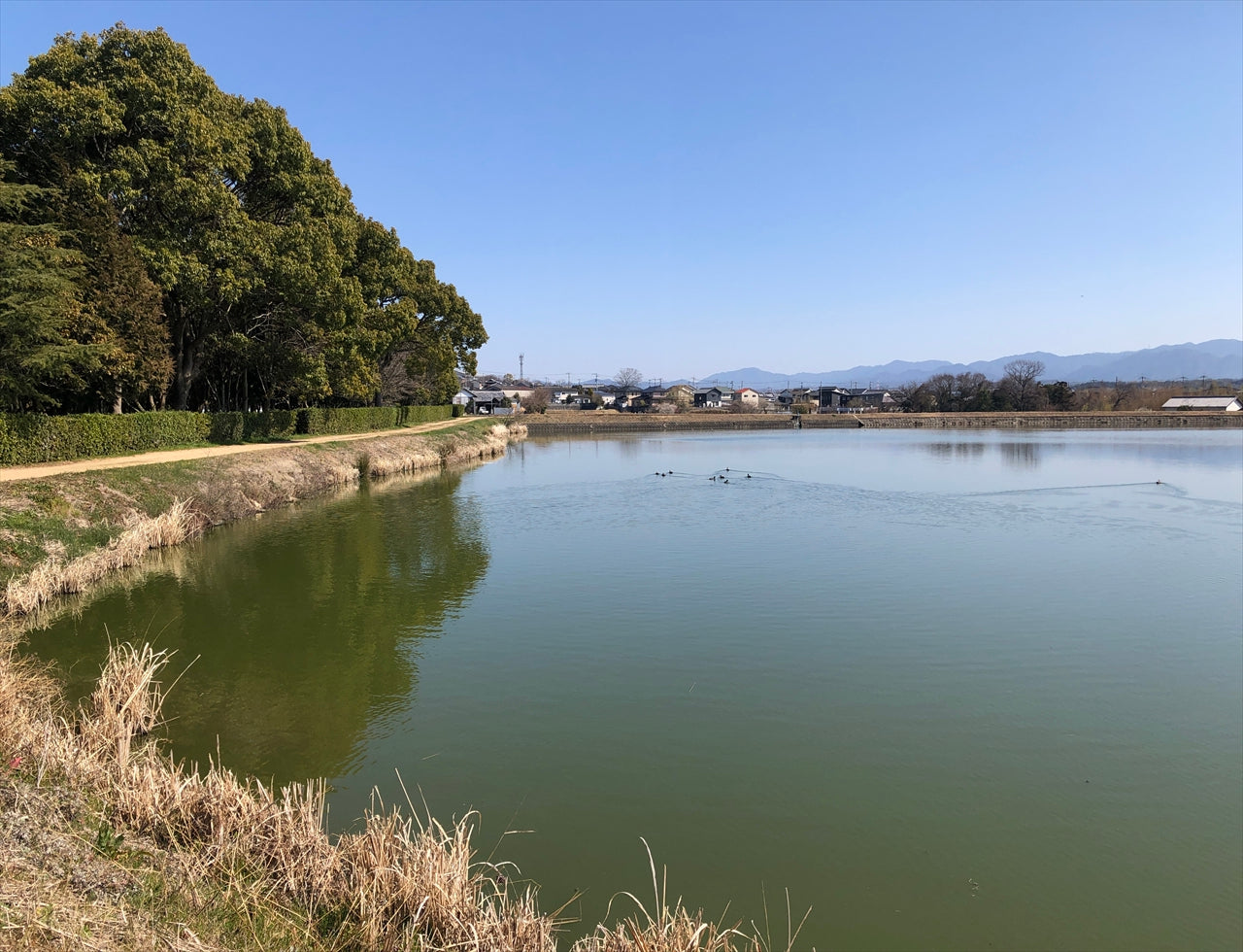 ◆田村神社南大池