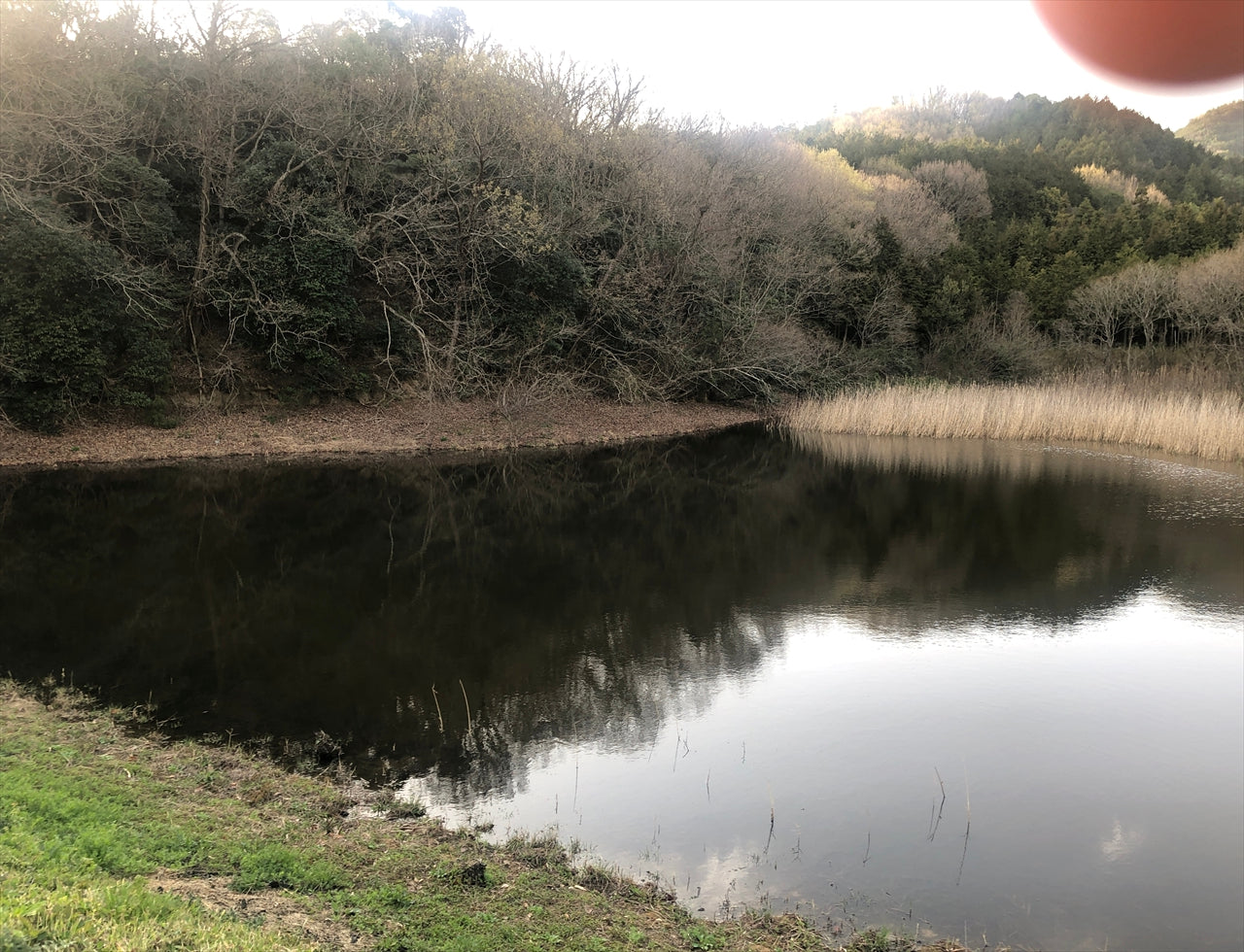 ◆川東古墳南池