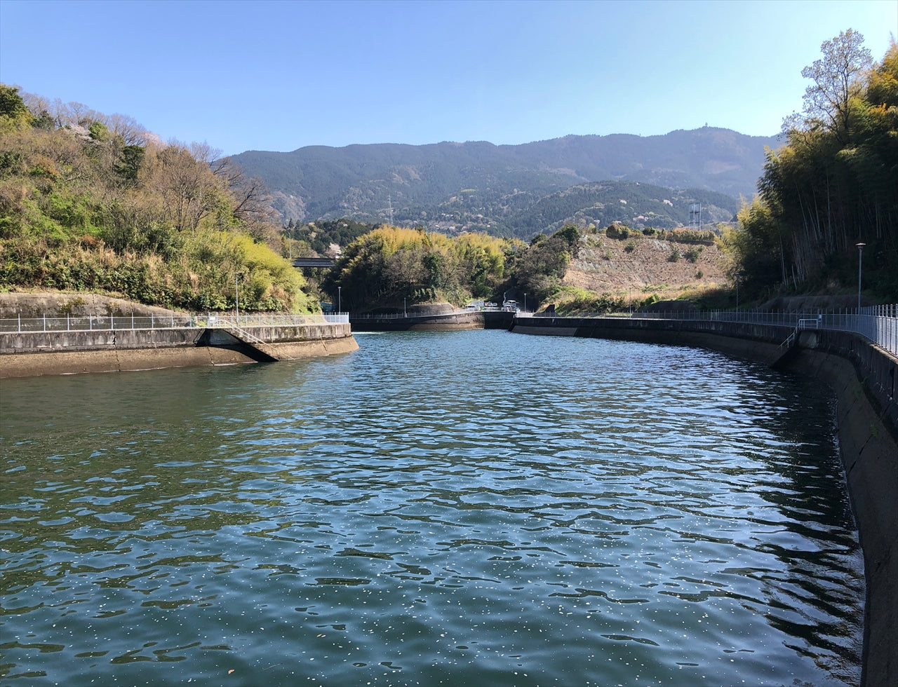 ◆新池調整池(上分町)