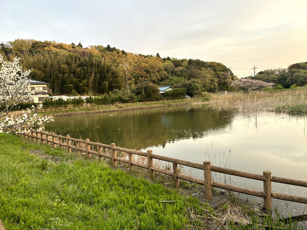 ◆中郷上堰(海保)