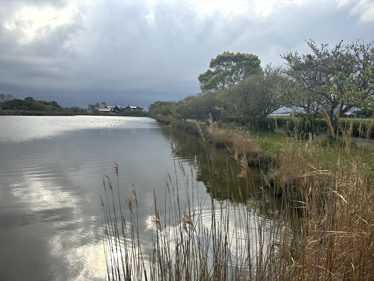 ◆大関堰(長生村)