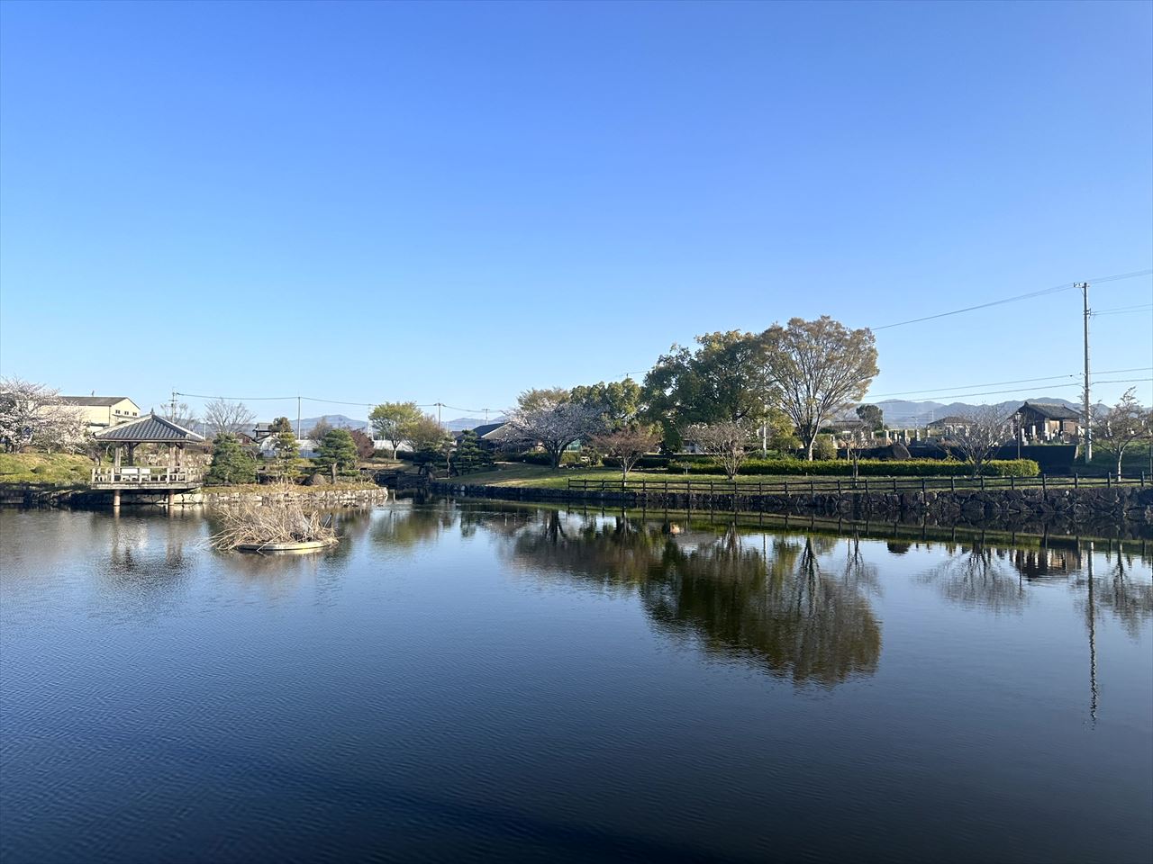 ◆大上池(由佐)