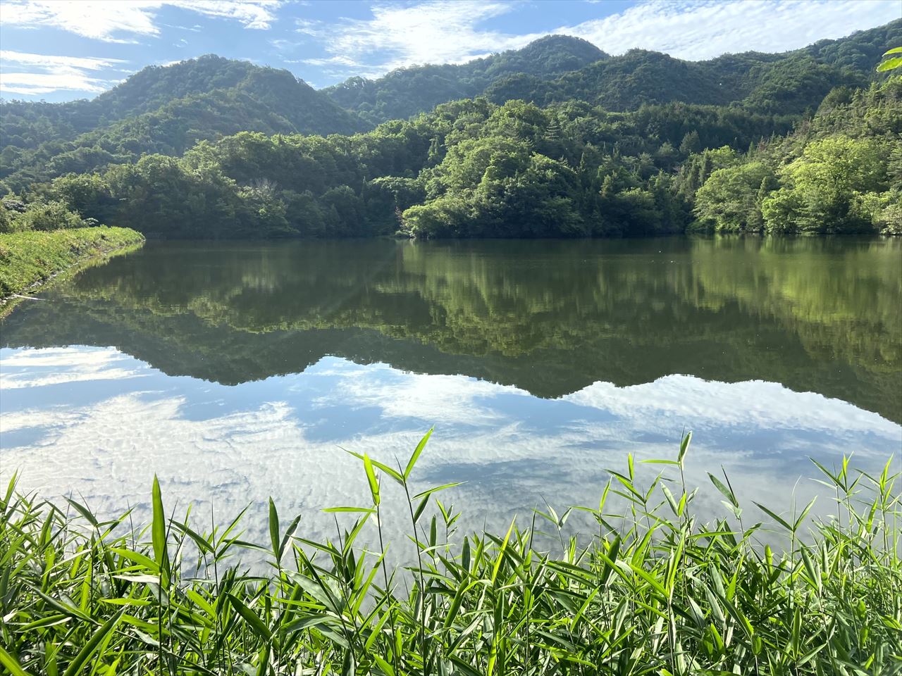 ◆畑池(南区阿津)