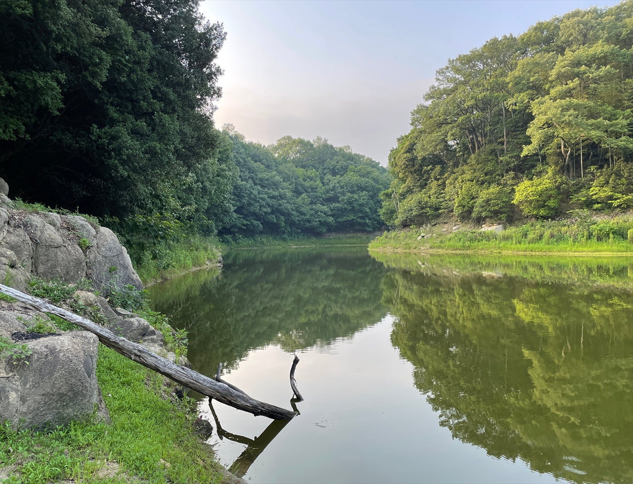 ◆由加神社下池