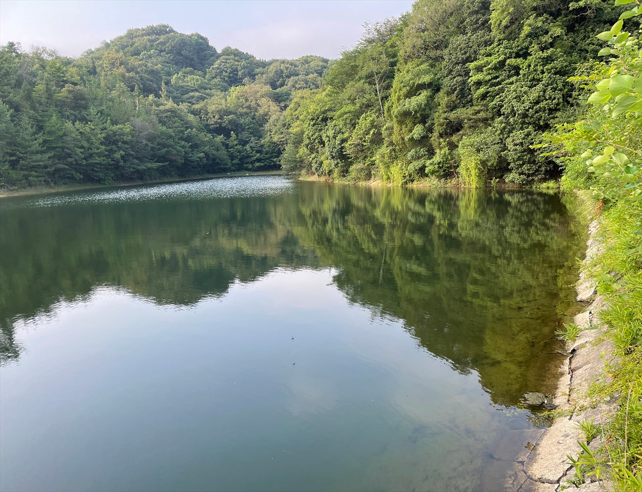 ◆児島公園墓地池