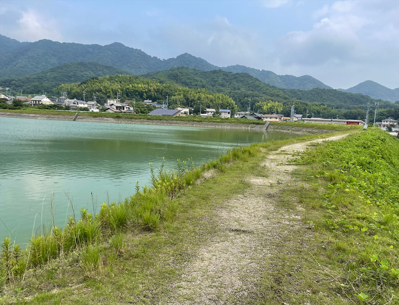 ◆上山田大池