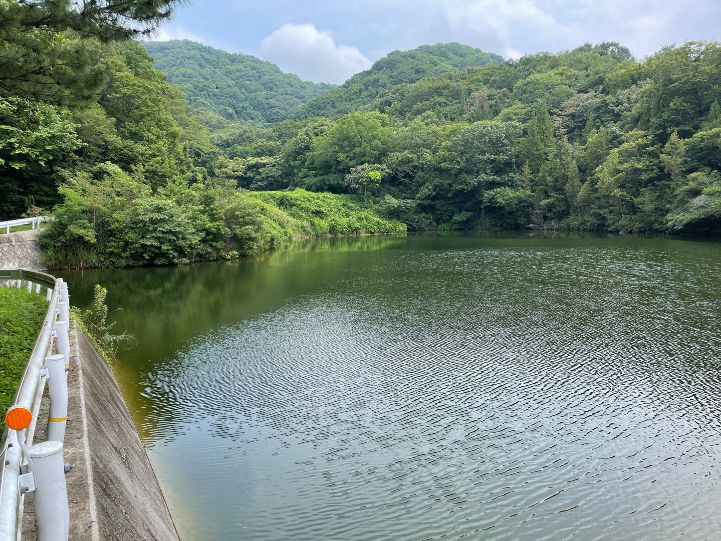 ◆東田井地上池