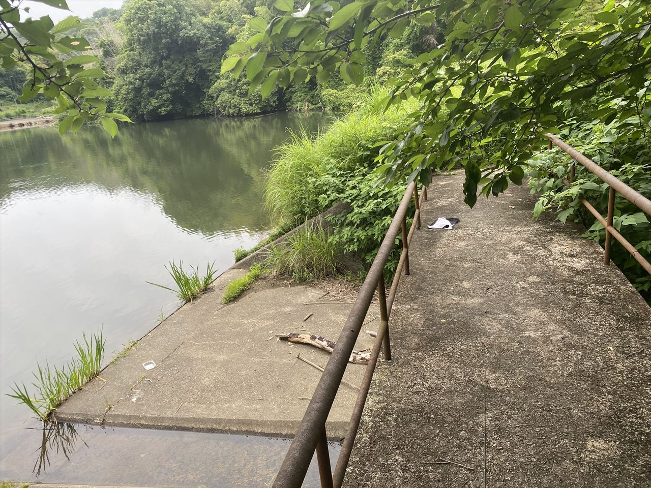 ◆天王池(浅原)