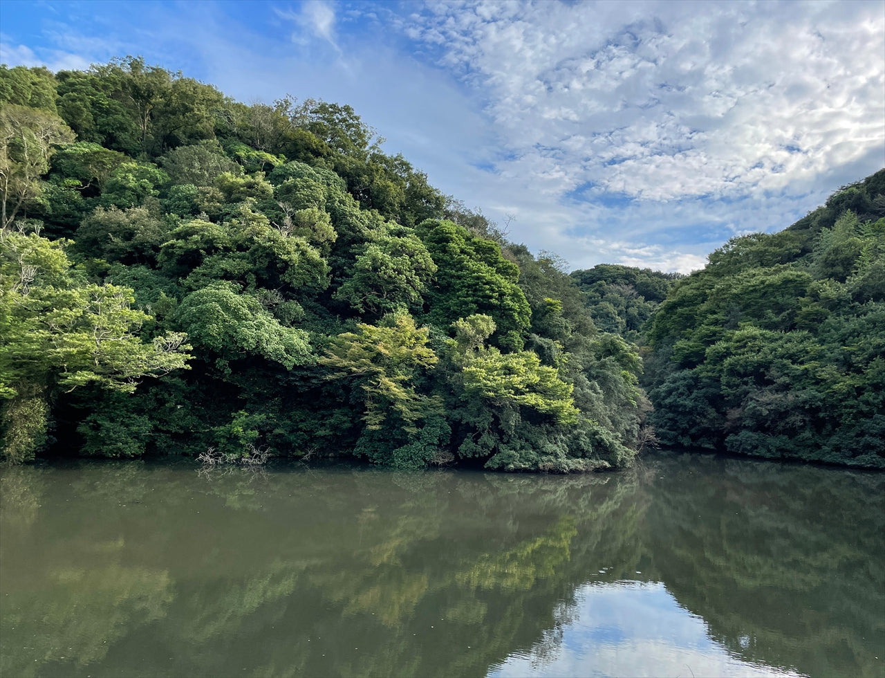◆恩徳寺跡北池