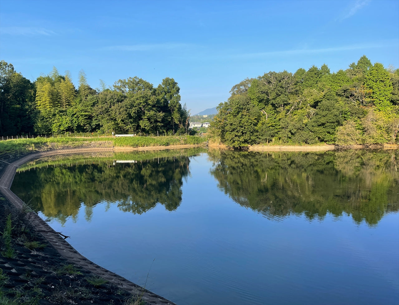 ◆佛土寺弁天池