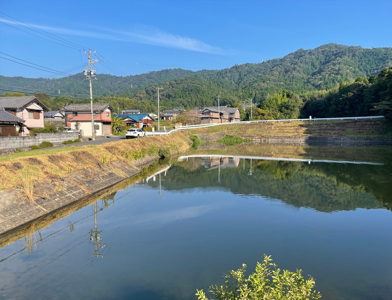 ◆野間中ノ池/大池