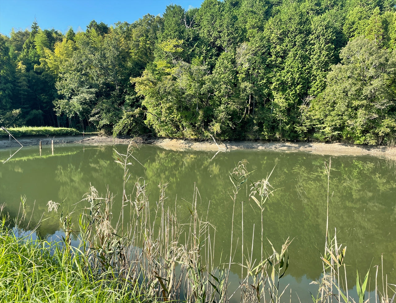 ◆大谷東上池/下池