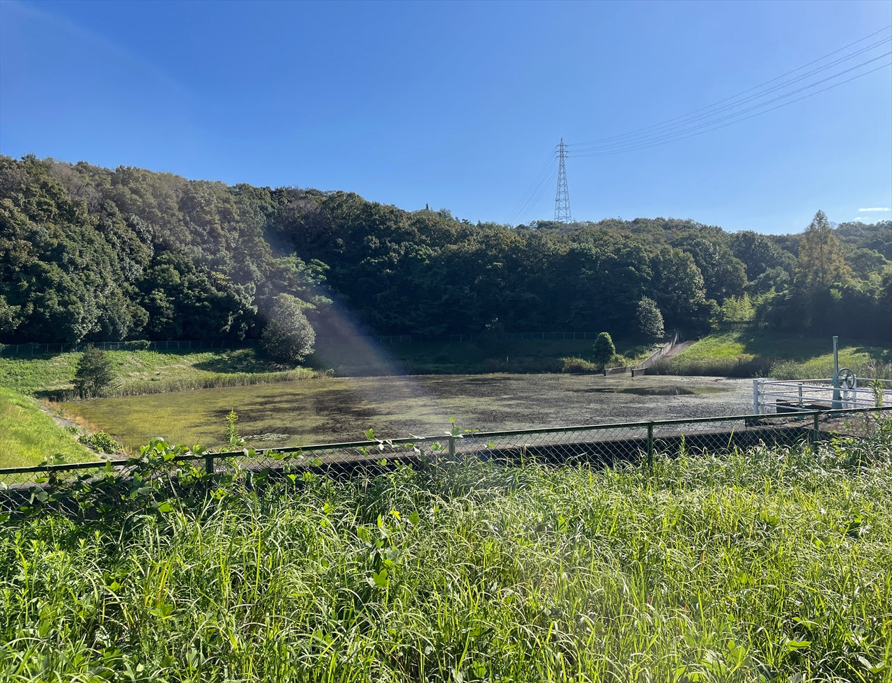 ◆中池(三木福井)