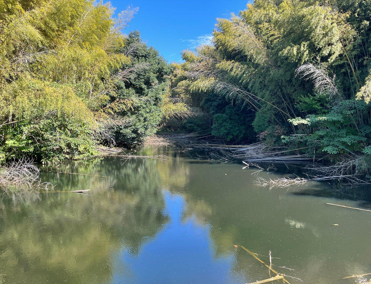 ◆東上池(中之庄)