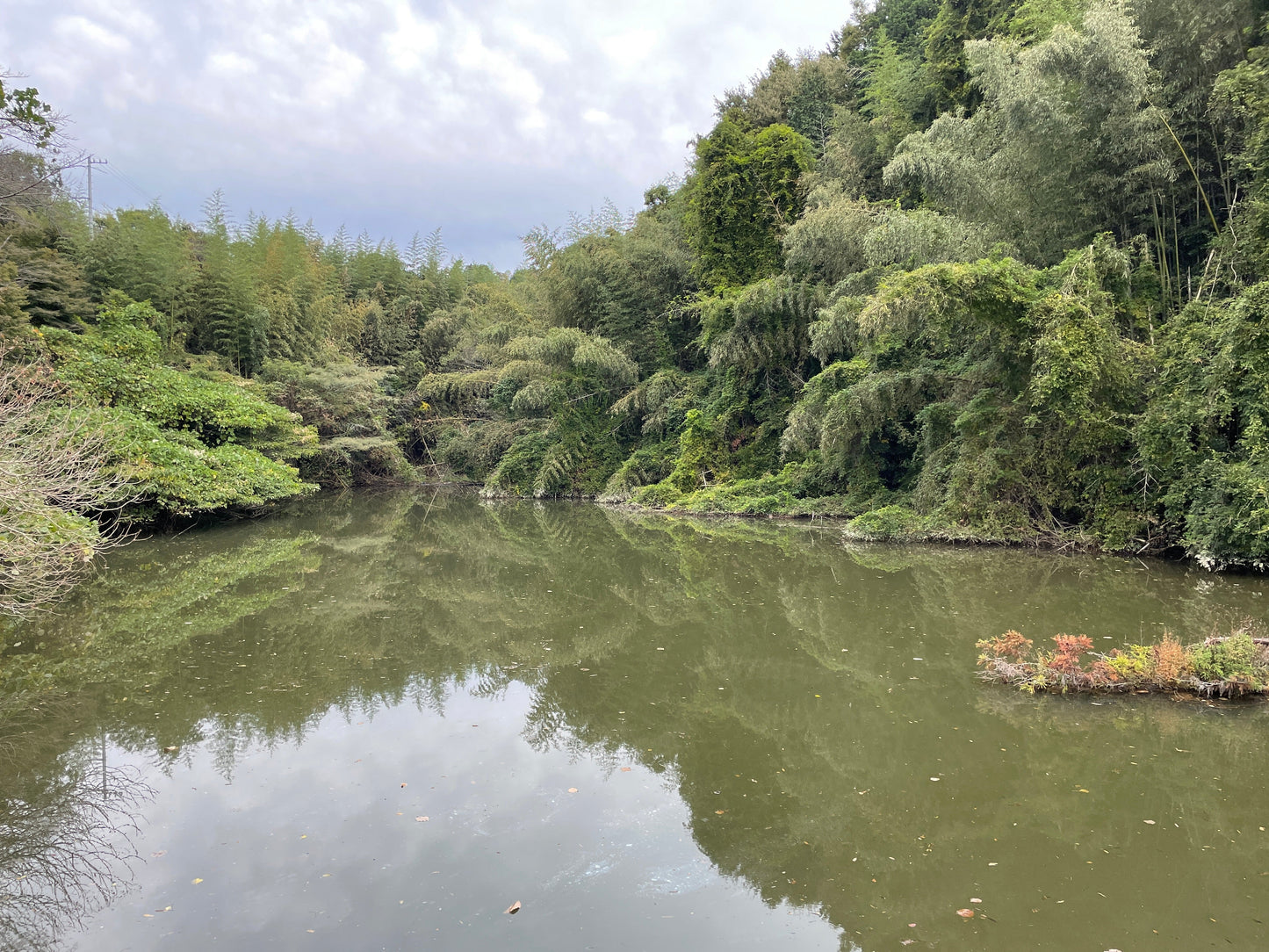 ◆新池(伊坂町)