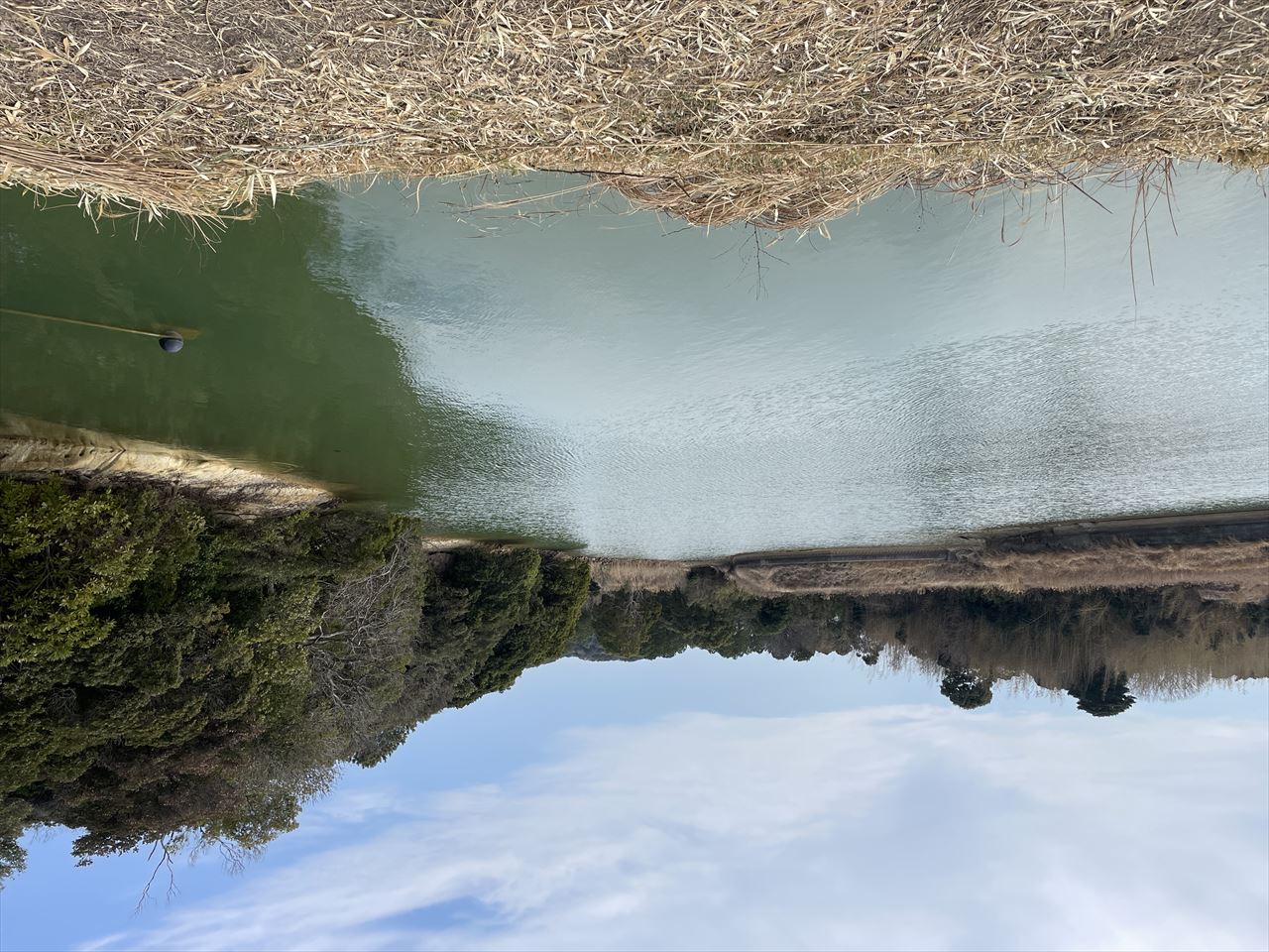 ◆上田原庚申池