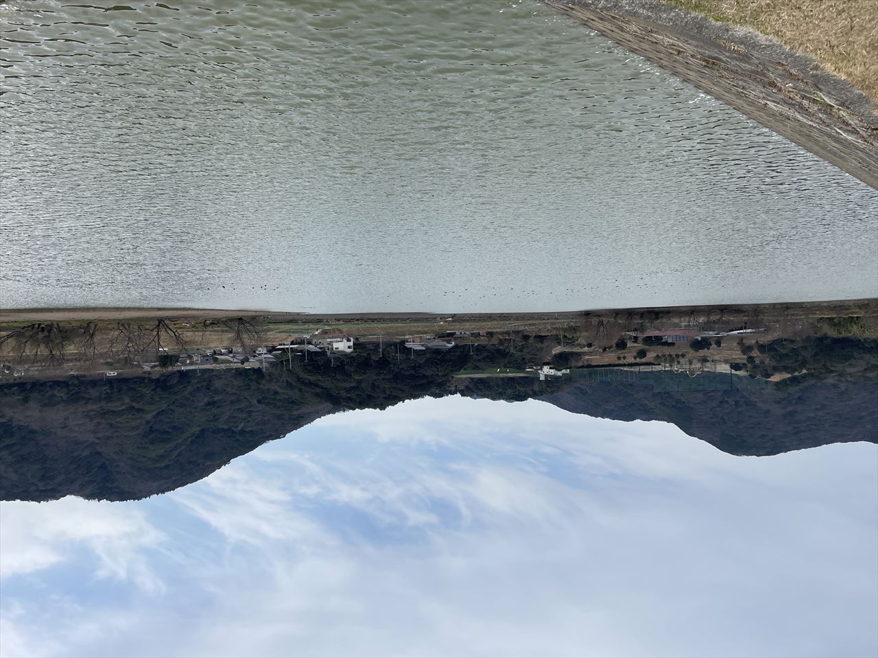 ◆大野池(池内)