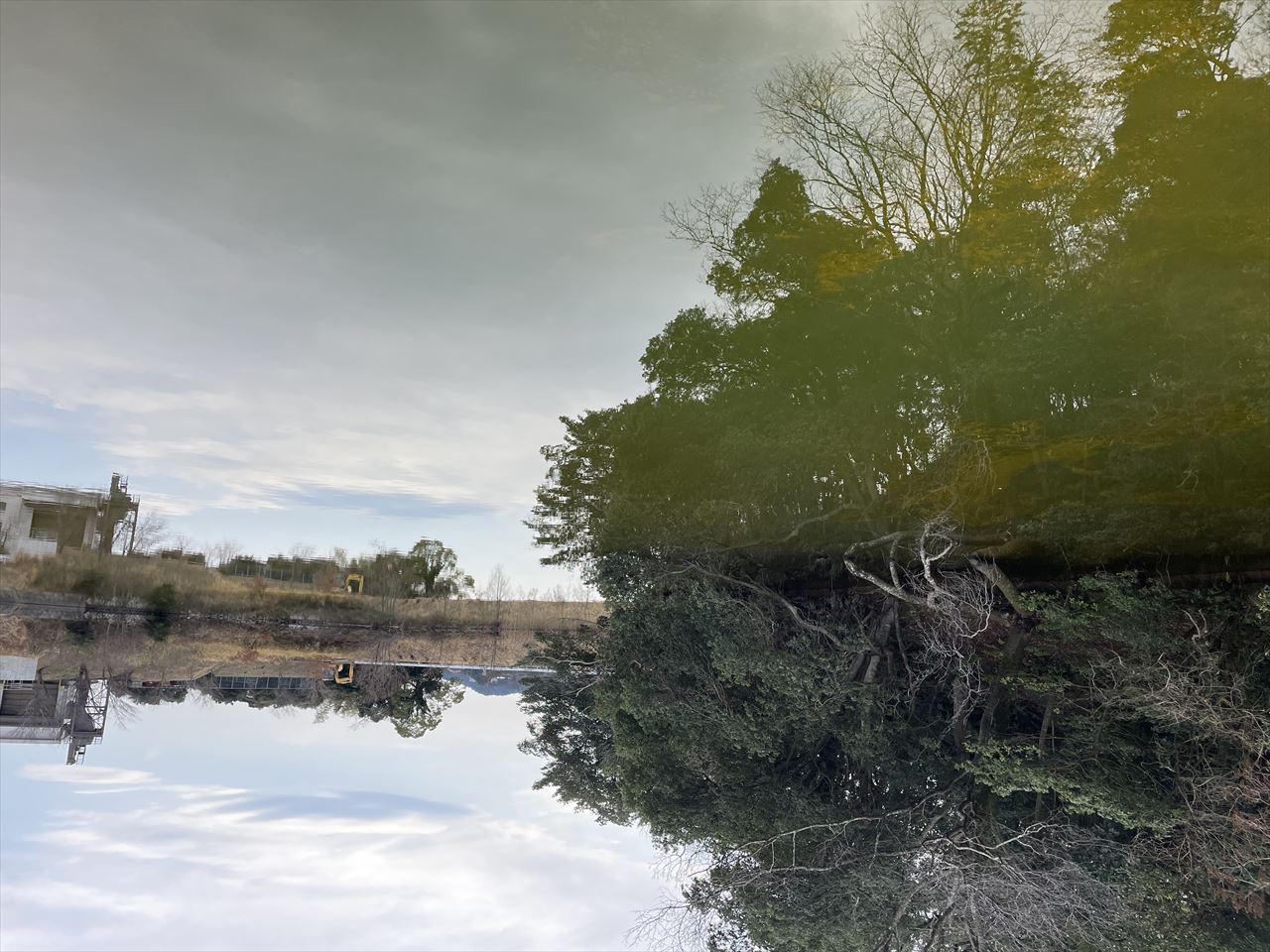 ◆新池(広田中筋)