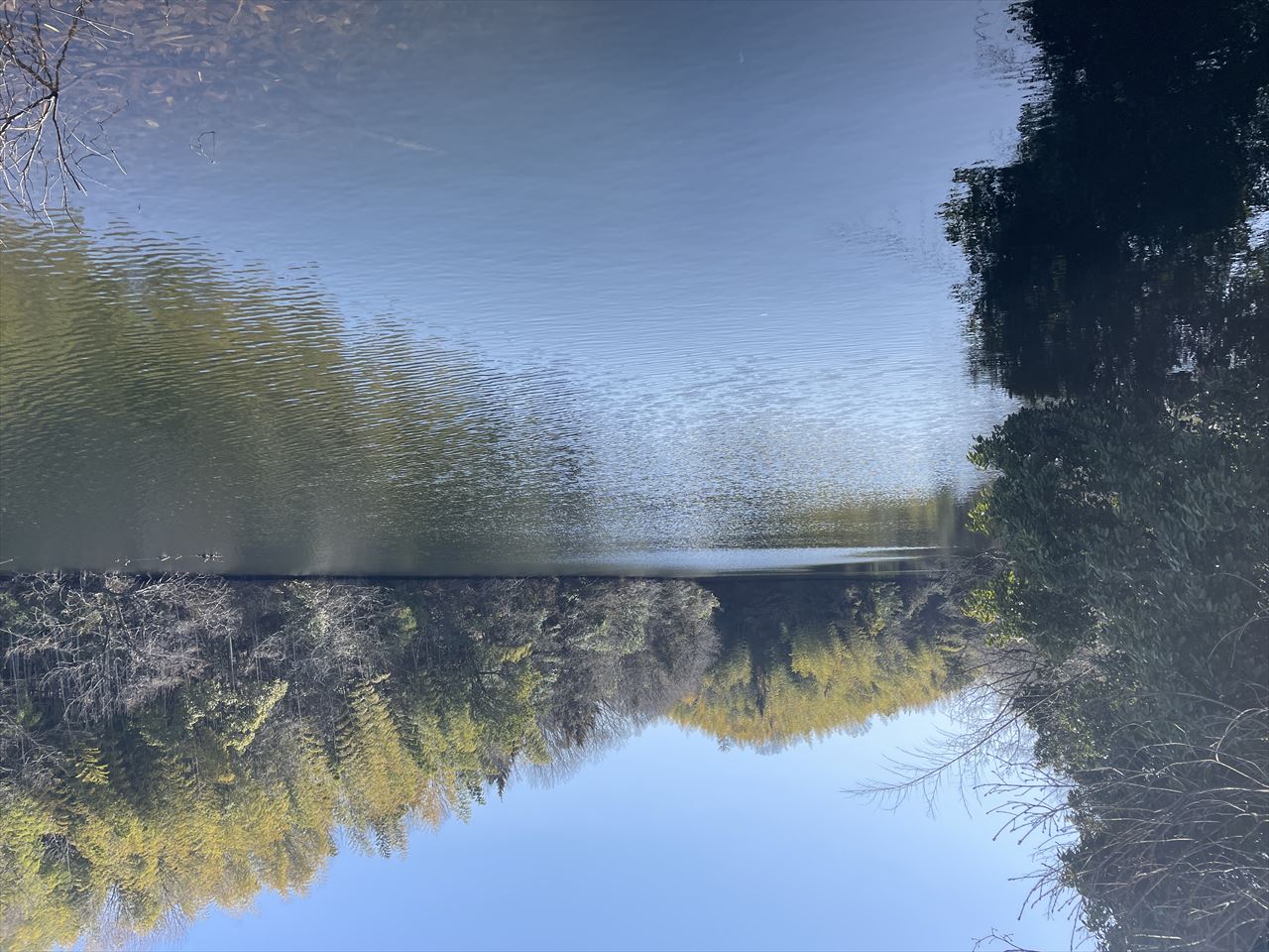 ◆城東池(朝倉)