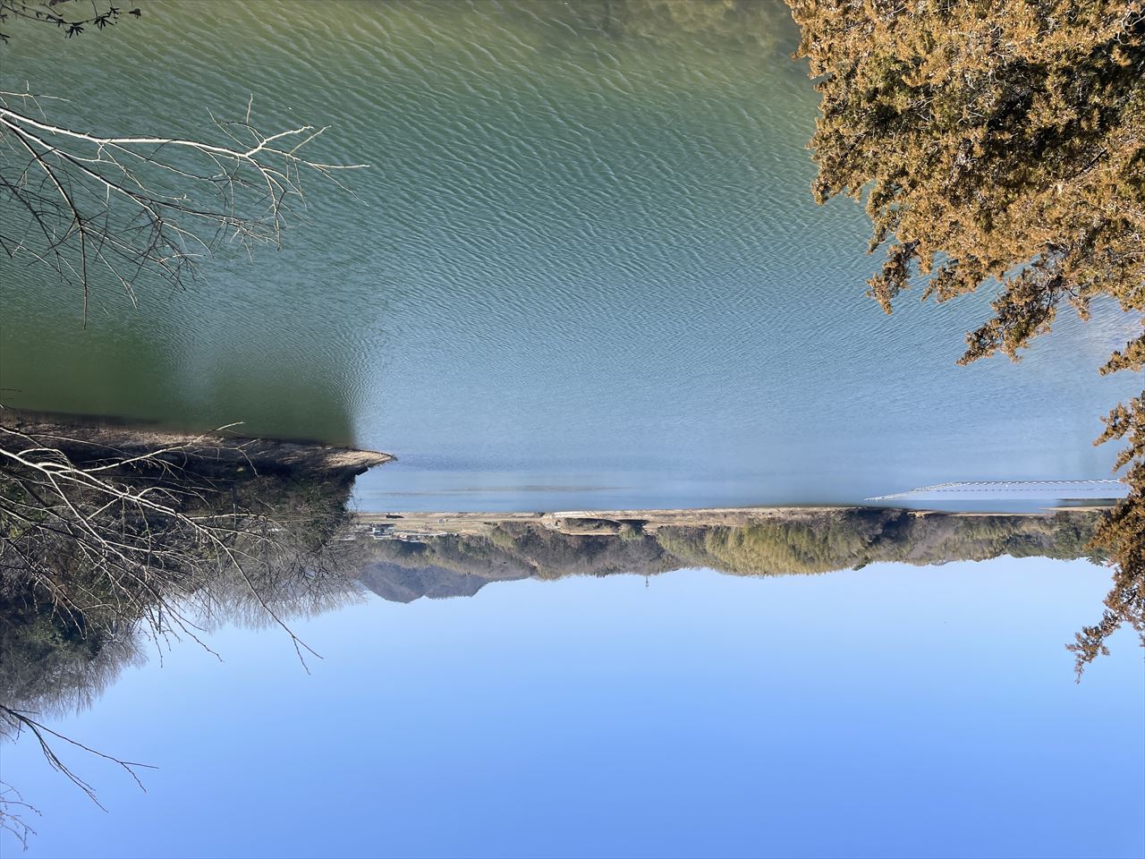 ◆四箇池(城池)