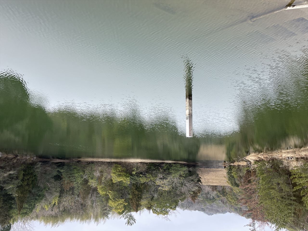 ◆新池(新田町)