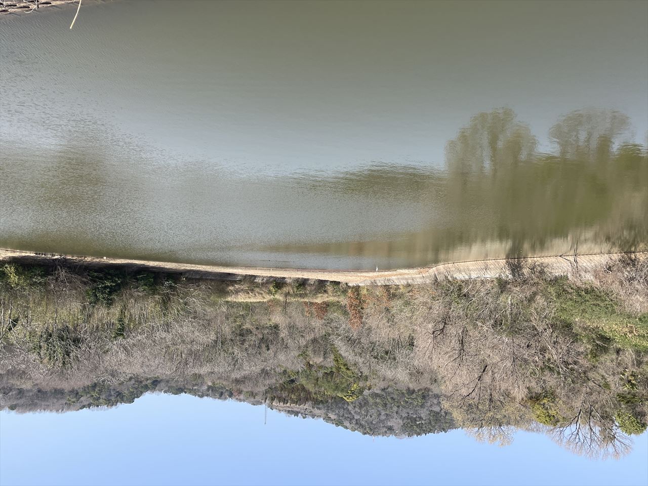 ◆皿池(前田西町)