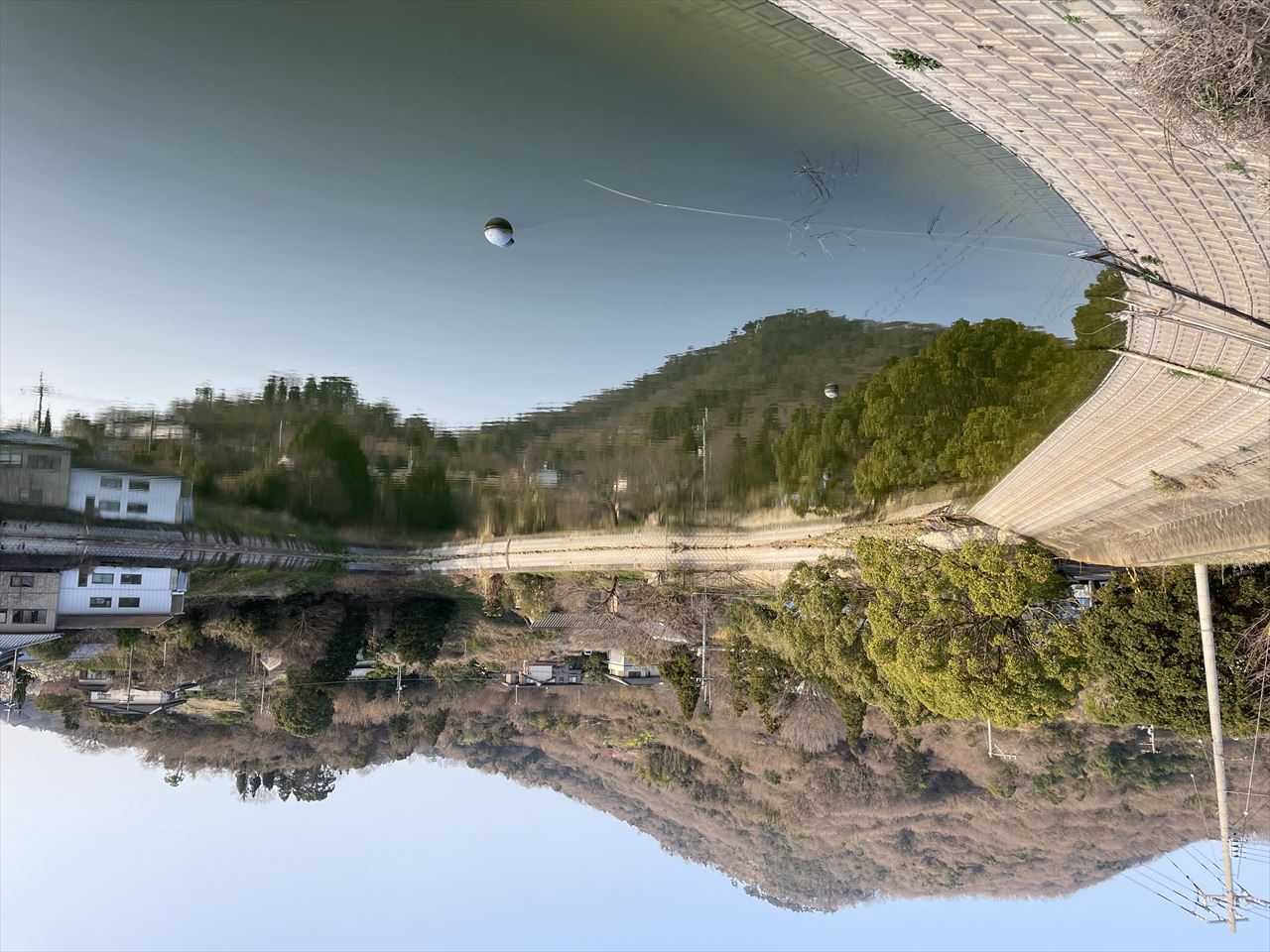 ◆新池(中山町)