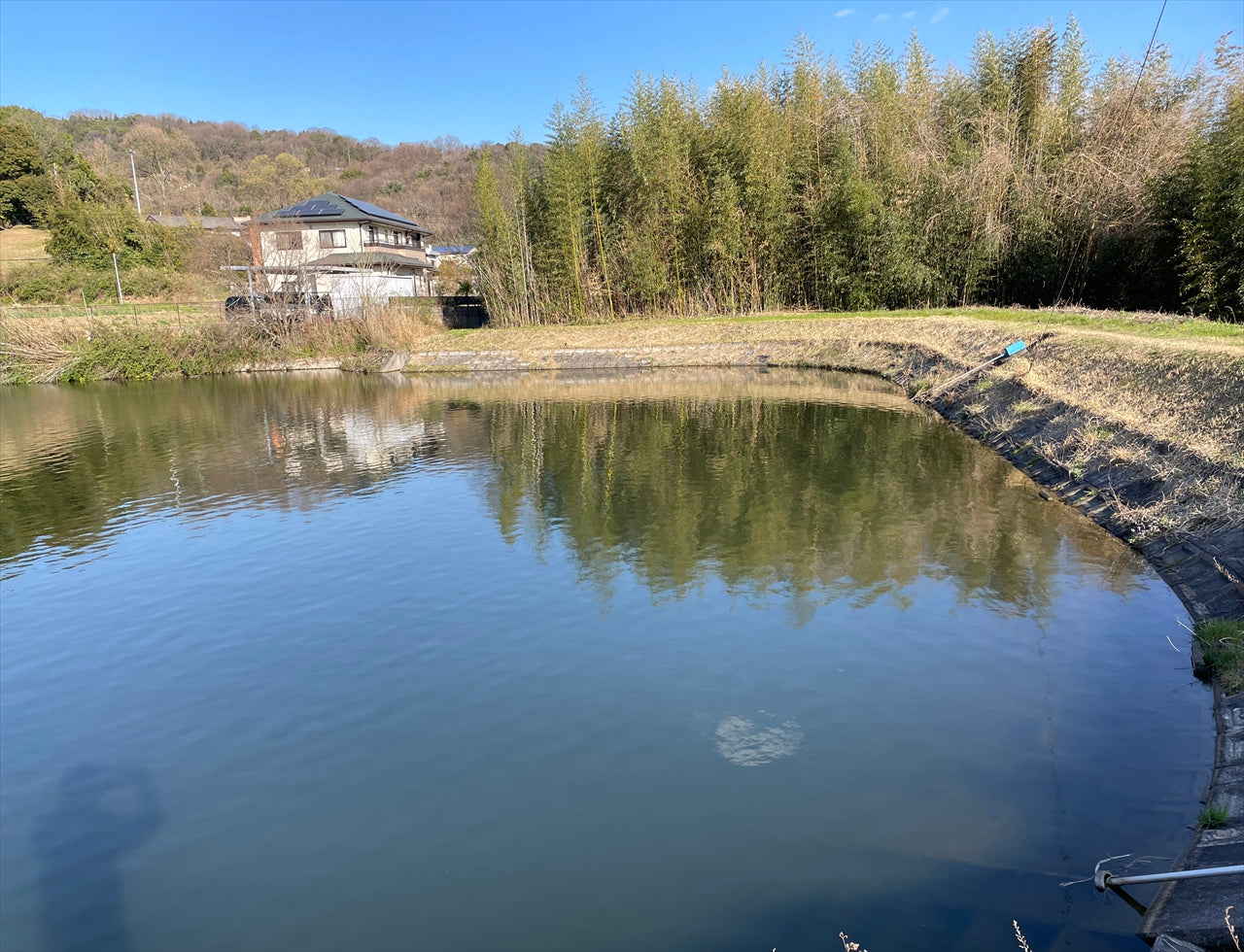 ◆渡池(前田西町)