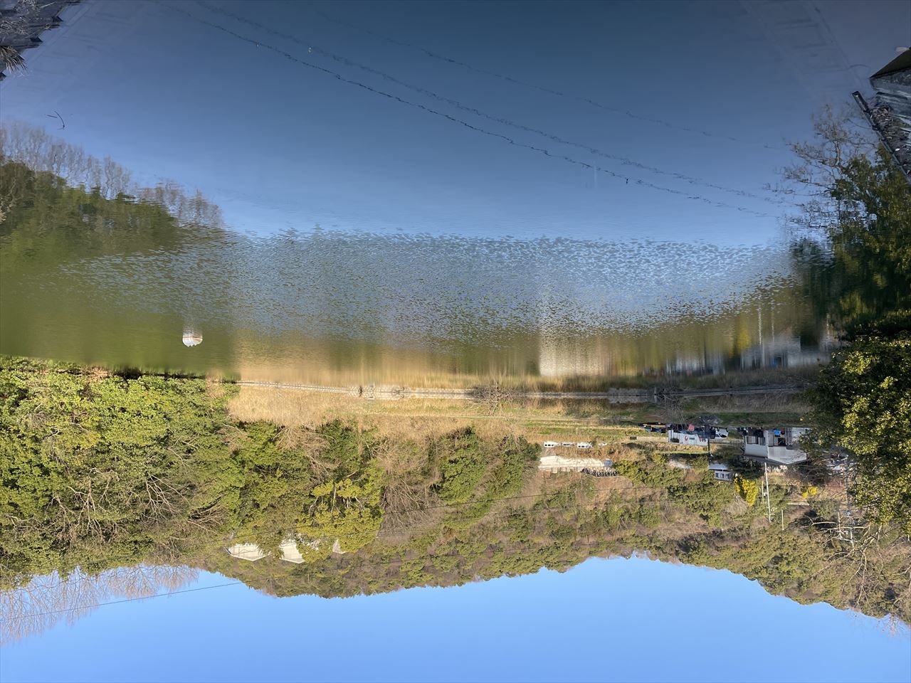 ◆東井上中池(三木)