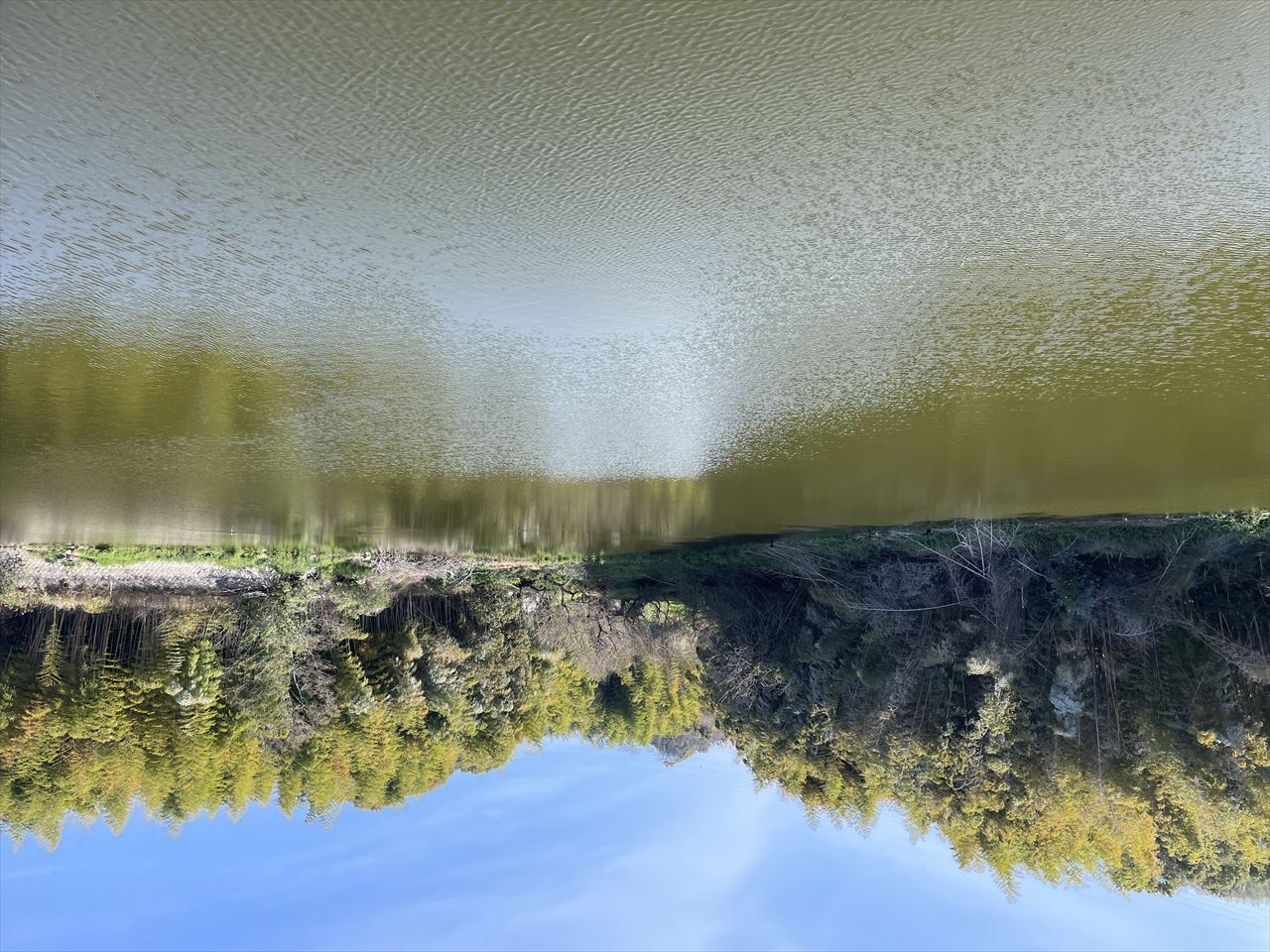 ◆新池(太山寺町)