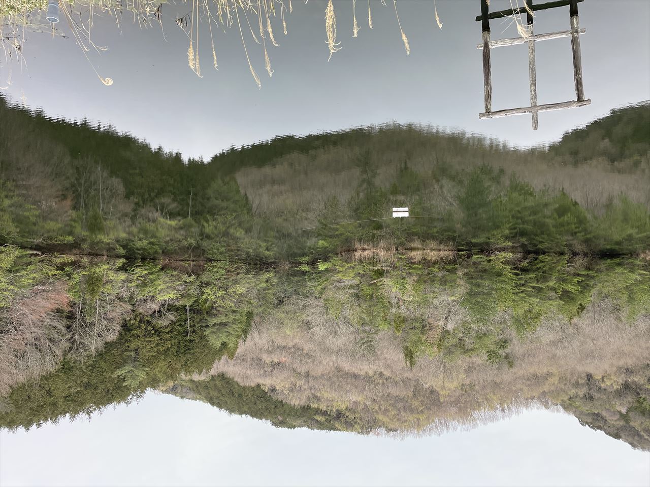 ◆奥谷池(大川町)