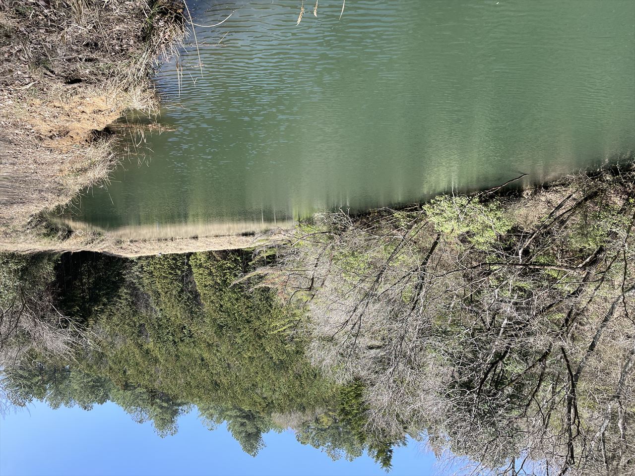 ◆奥山天神池(多和中山)