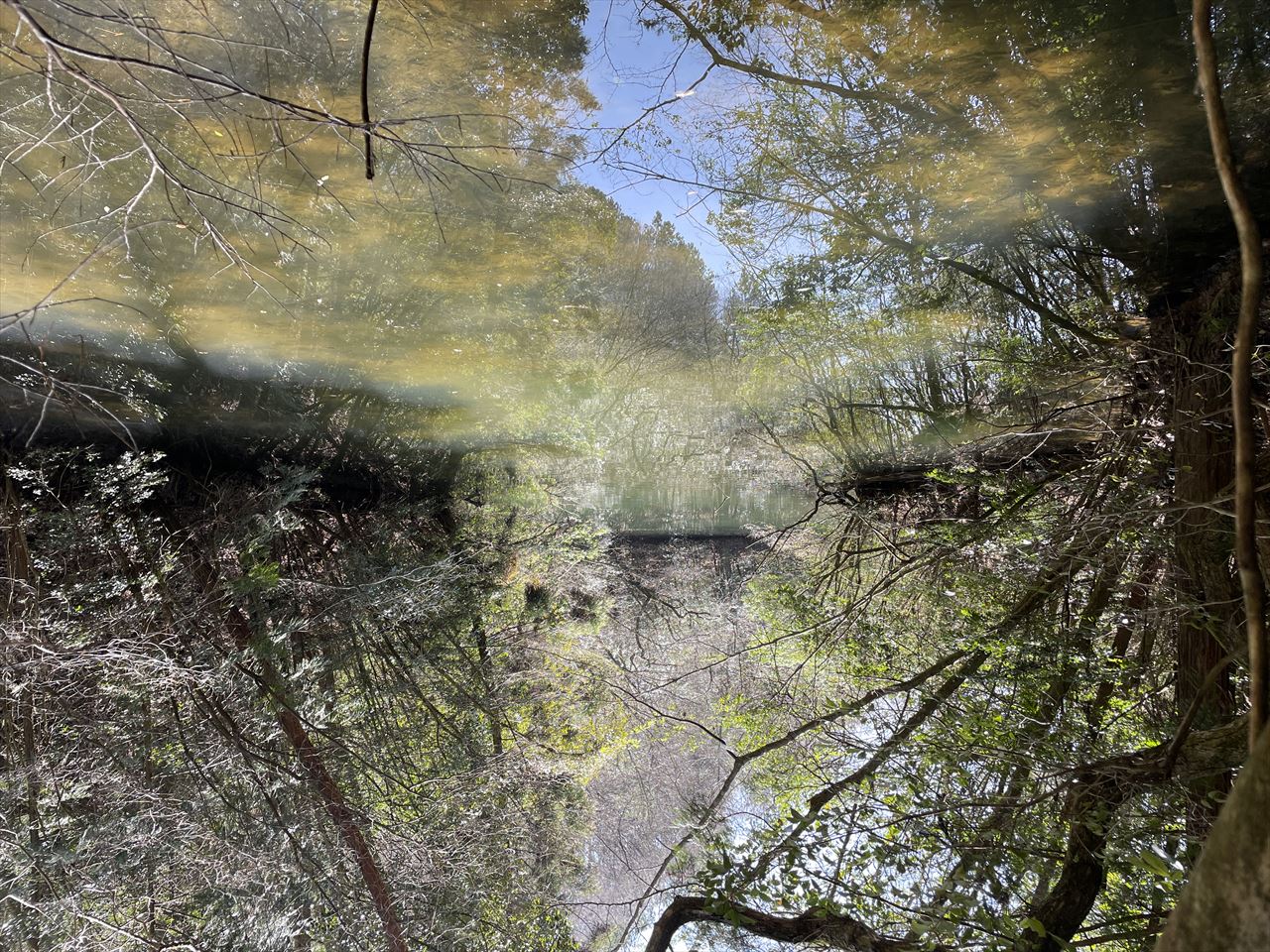 ◆奥山細池(多和中山)