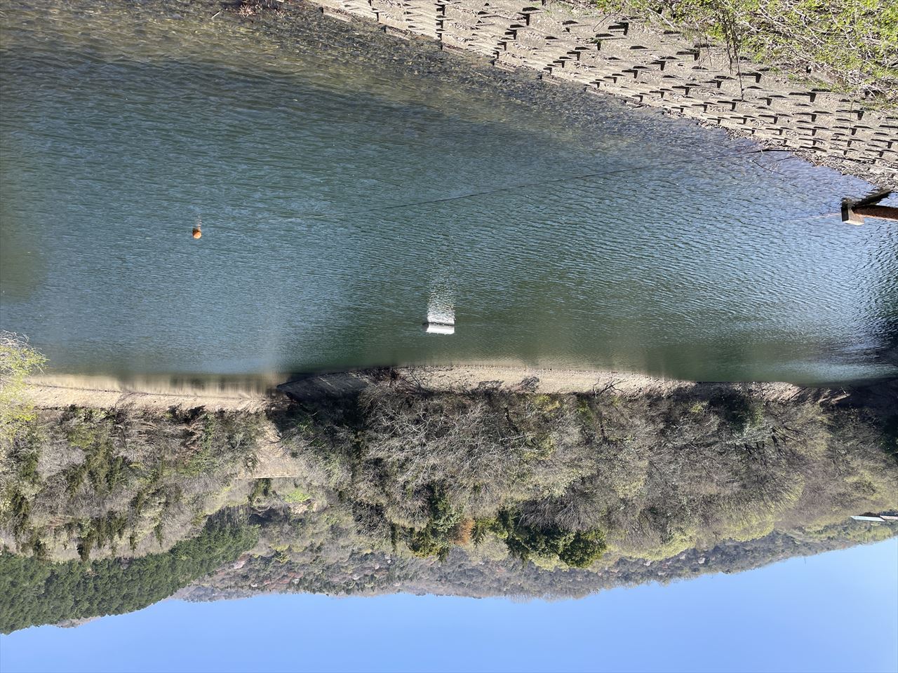 ◆薬師下池(阿波町)