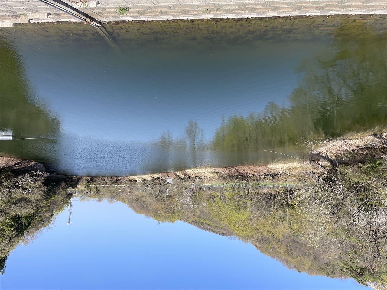 ◆貴布禰神社池(阿波町)