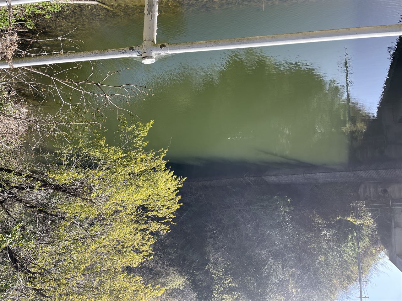 ◆山尻上池(阿波町)