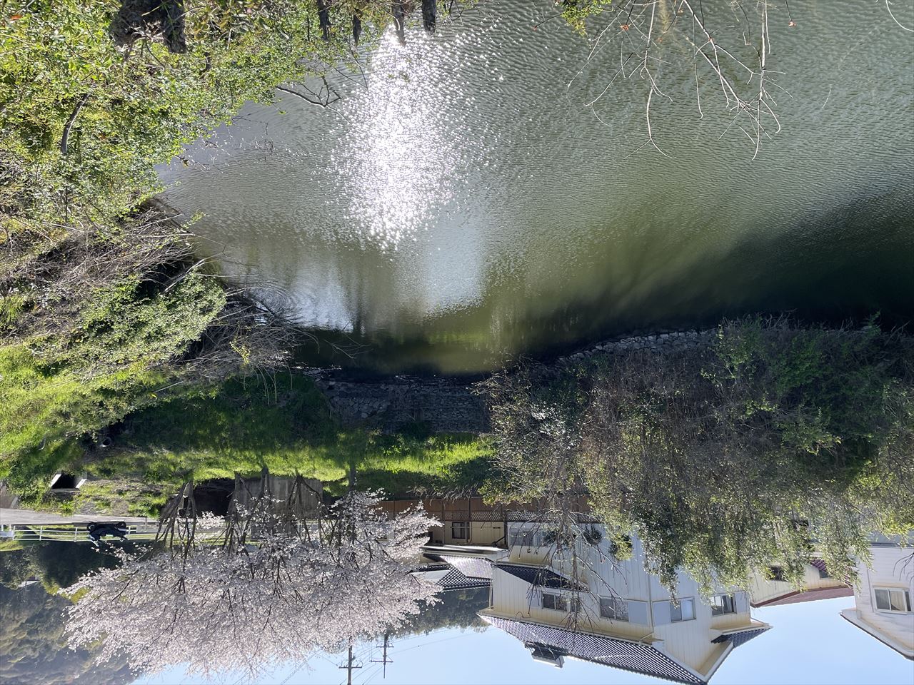 ◆北原下池(阿波町)