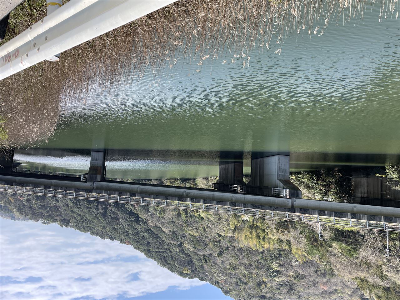 ◆中山大池(撫養町)