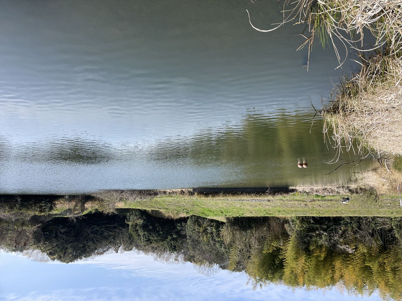 ◆長谷池(中川原)