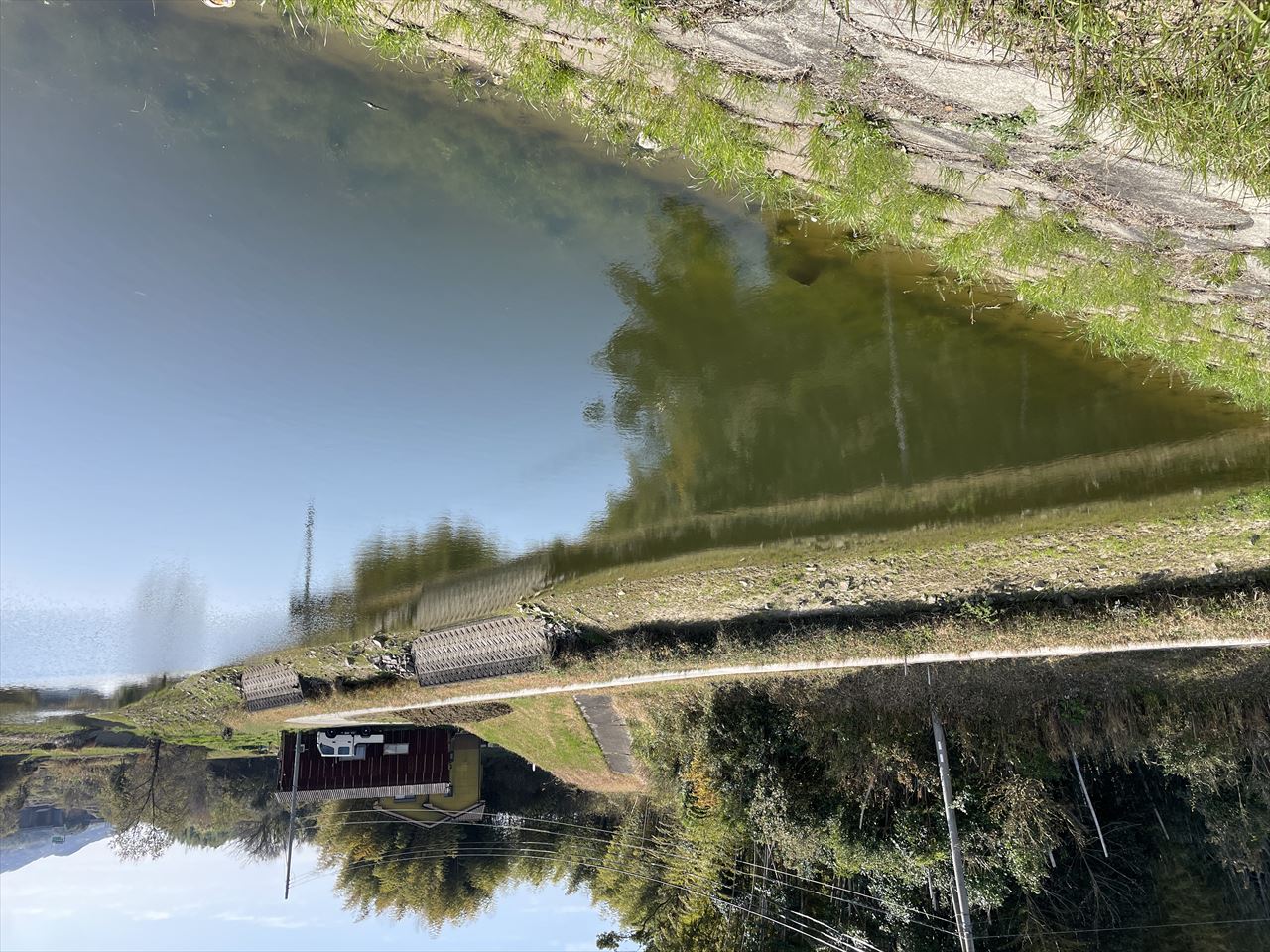 ◆琵琶川池(中川原)