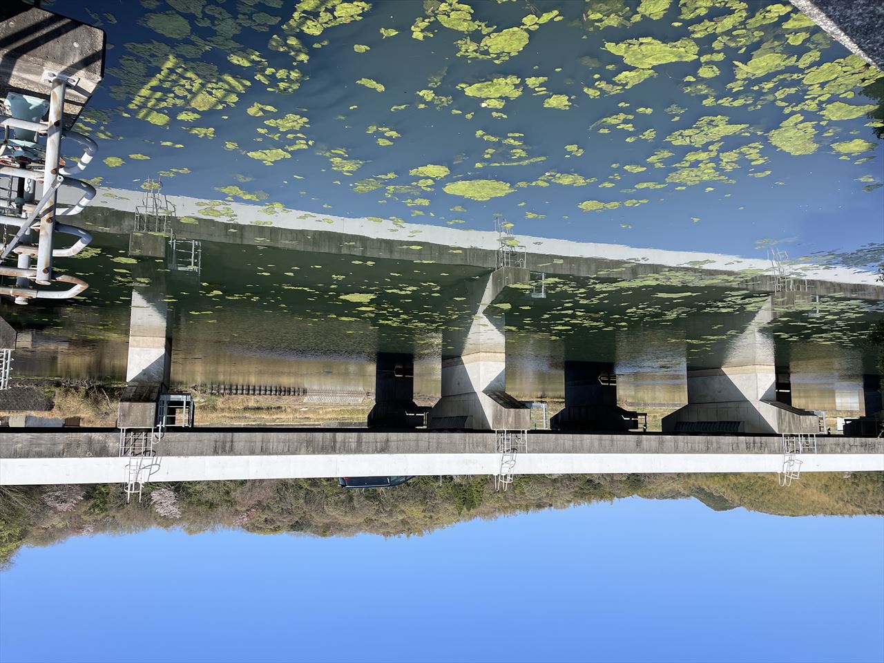 ◆大池(山田原)