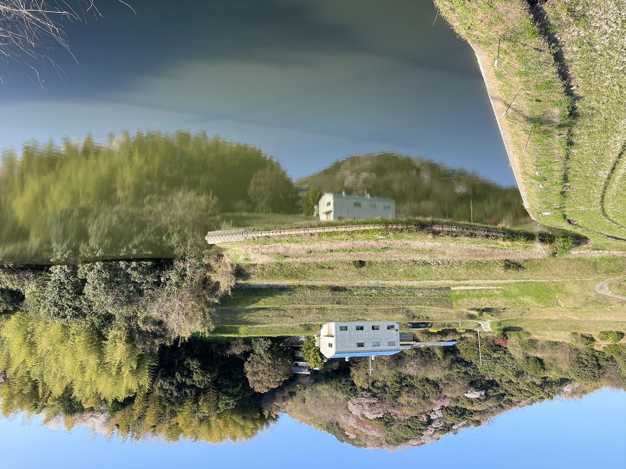 ◆桂池(木曽上)