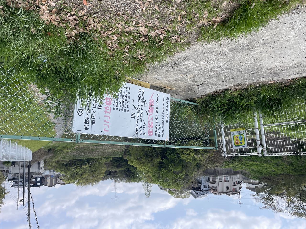 ◆スリ鉢池