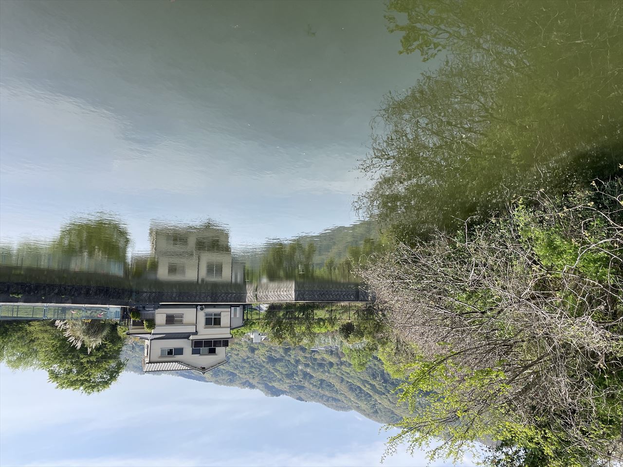 ◆トンボ池(水越)