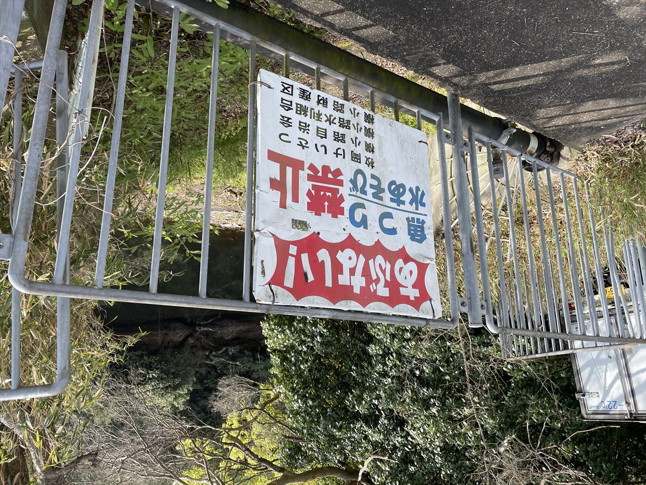 ◆横小路新池